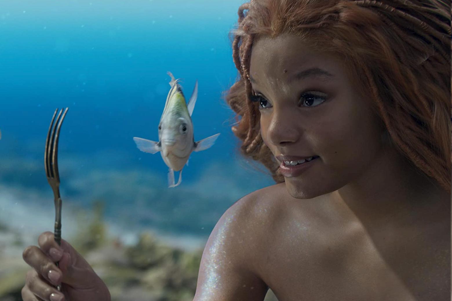 The Little Mermaid: What kind of fish is Flounder? A marine biologist  reviews the 2023 movie.