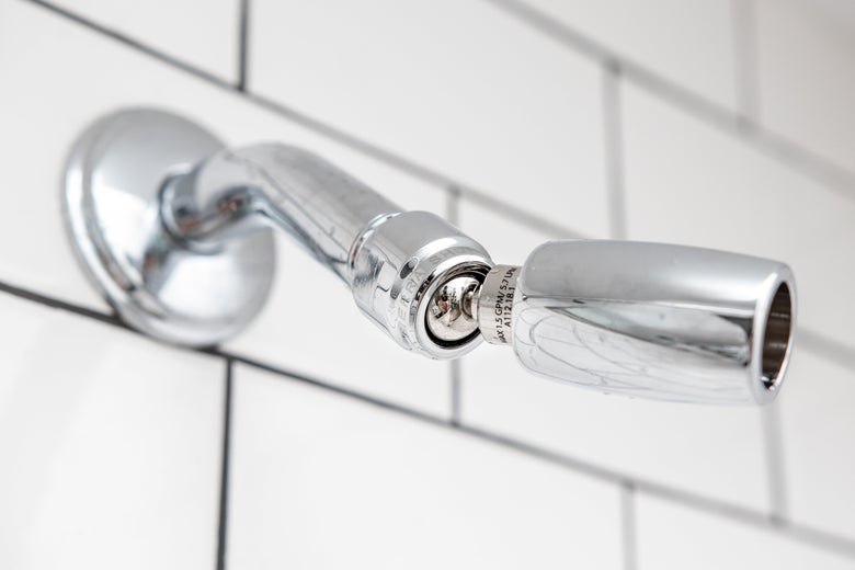 The ball joint on the High Sierra showerhead.