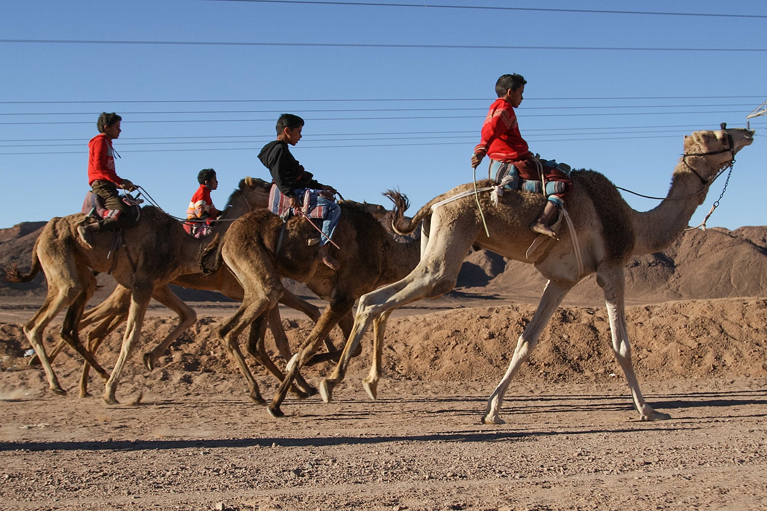 After the first race is over, the young racers mount the older camels for the second race of the day.