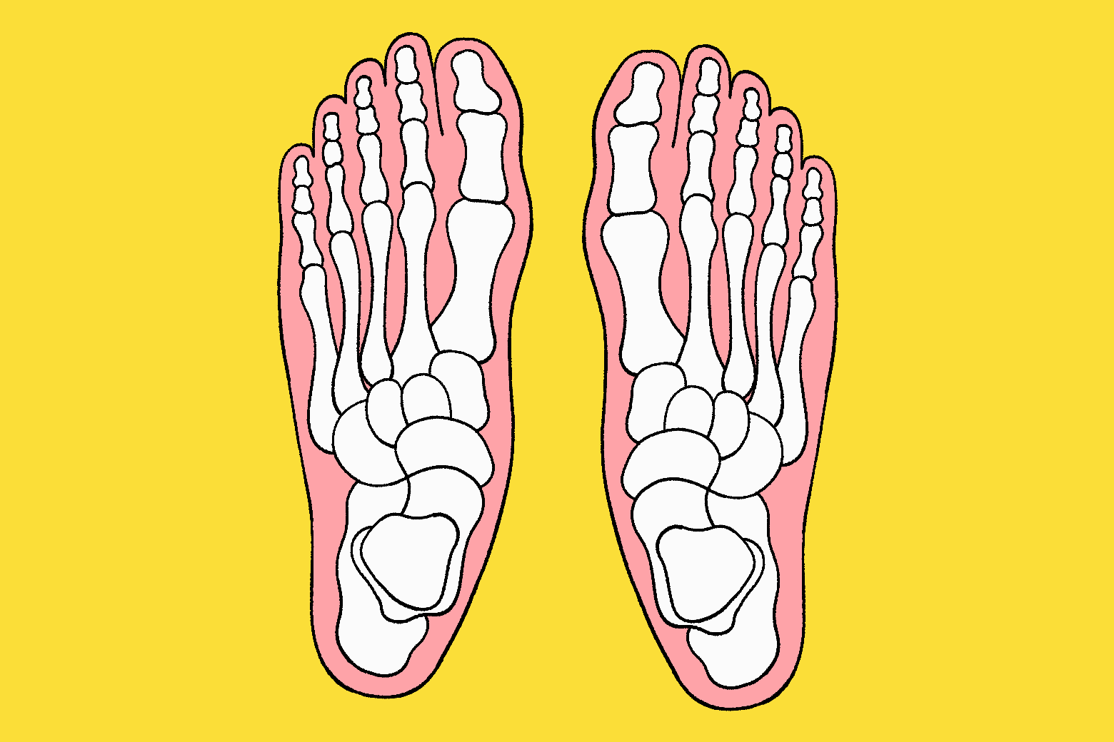 A gif of skeleton toes spreading and relaxing. 