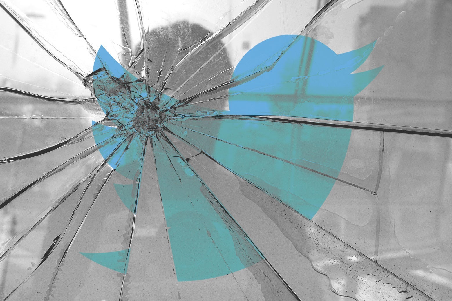A shadow of a person looking in a shattered mirror with the Twitter logo on it.