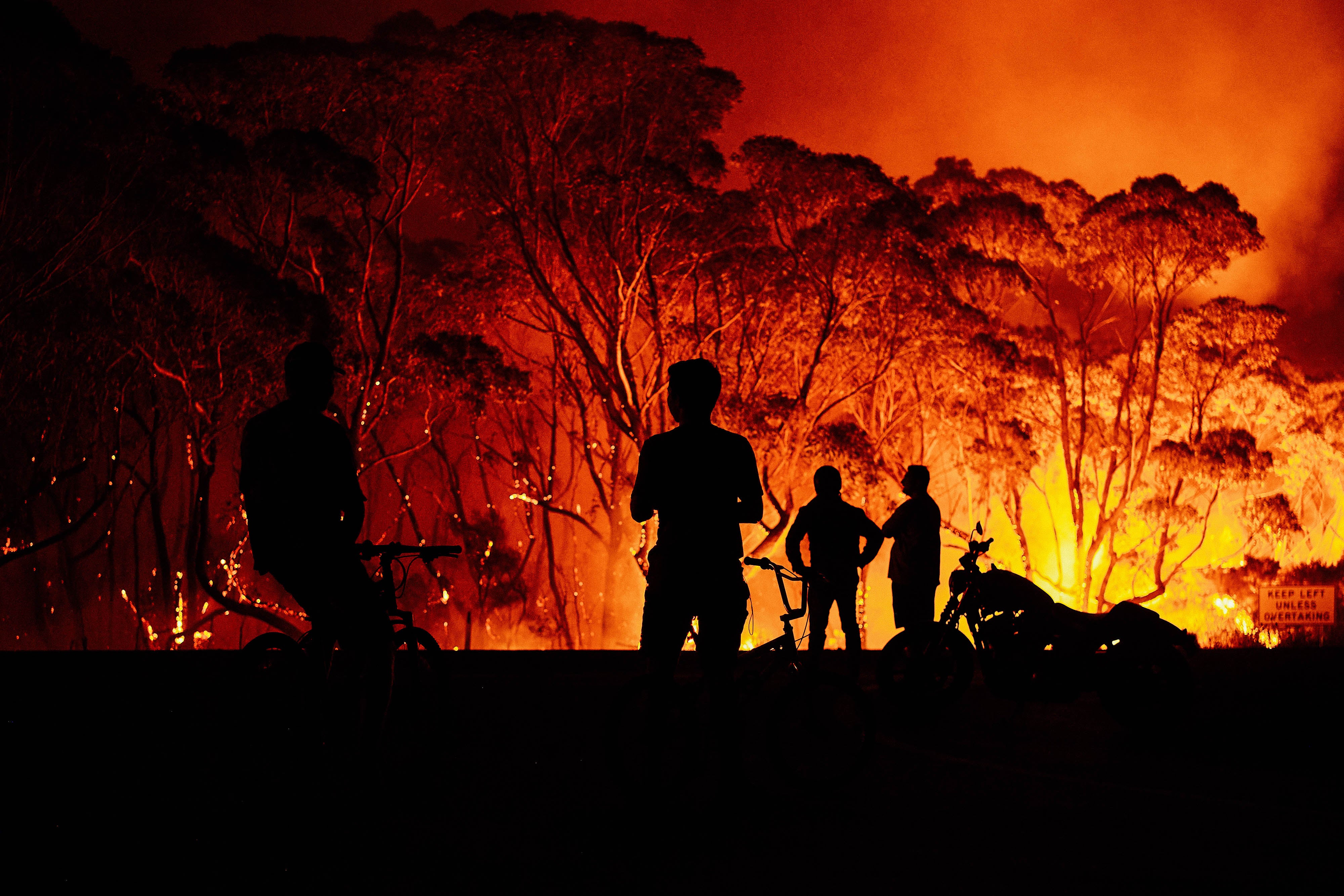 People look as fire burns through trees.