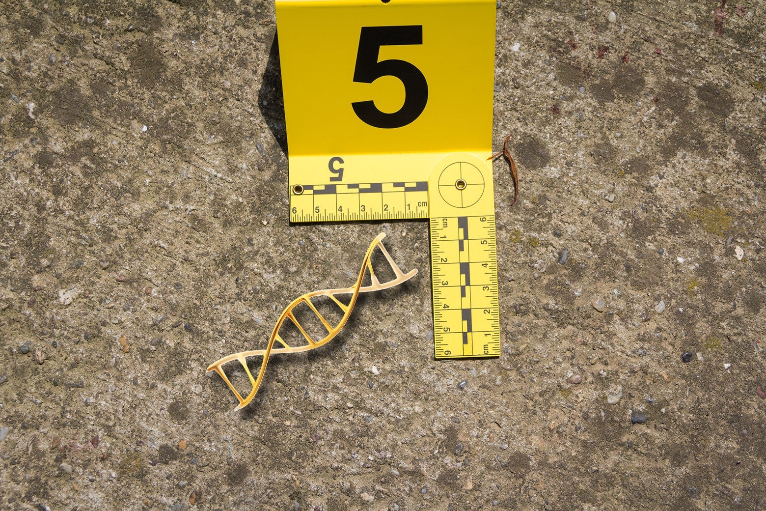 Photo illustration of a crime scene marker next to a physical DNA double helix.