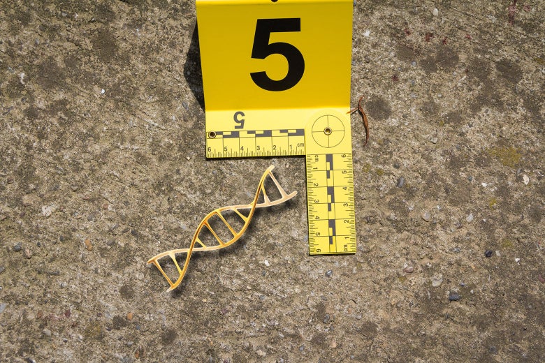 Verogen’s purchase of GEDmatch could change everything with law enforcement and genetics.