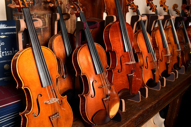 Violins on display