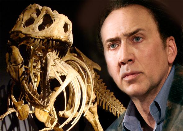 Nicolas Cage stolen dinosaur skull: Hollywood stars should stop collecting fossils.