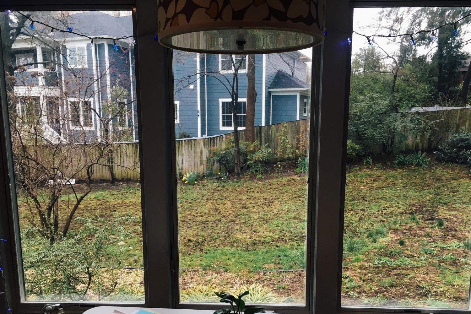 Window facing a grassy lawn and blue house.