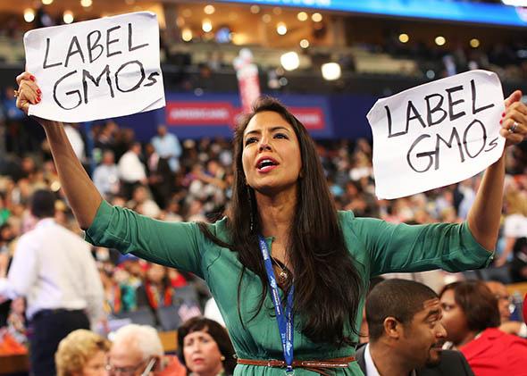 Vani Hari during the Democratic National Convention.