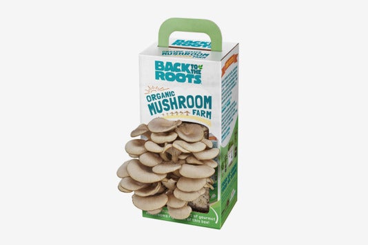 Back to the Roots Organic Mushroom Growing Kit.