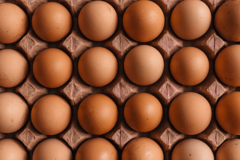 Four rows of brown eggs fill the frame