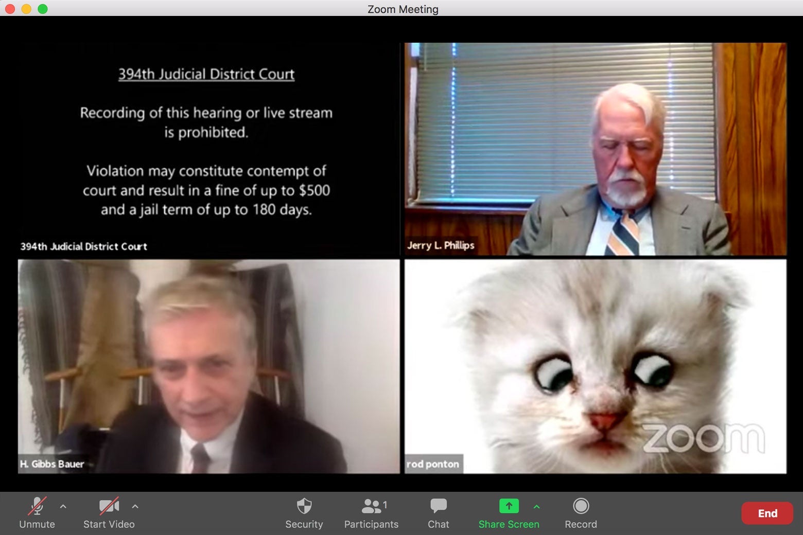 A Zoom screenshot of four videoconference windows, one of which is a notice from the 394th Judicial District Court, two of which have men in them, and the last of which has a kitten with googly eyes.