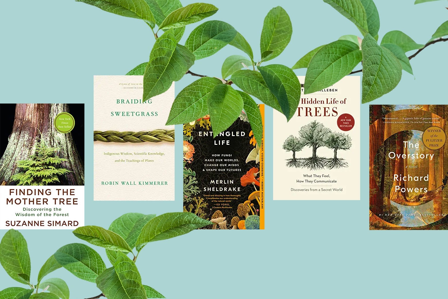 A collage of the covers of a number of books mentioned in this article as well as green leaves.