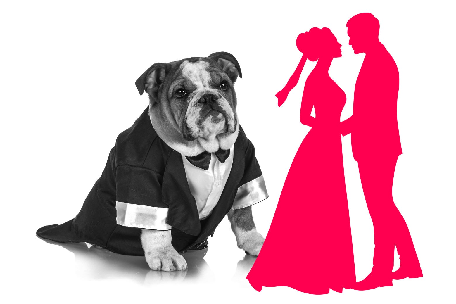 A dog in a tux next to a bride and groom.