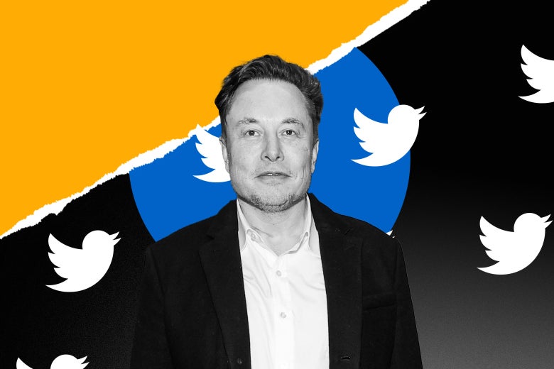 Elon Trolls the SEC Elon Trolls the SEC