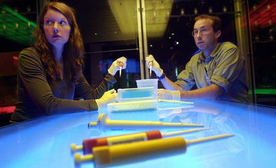 Adult students participate in a genomic laboratory workshop in 2001 at the American Museum of Natural History in New York City. 