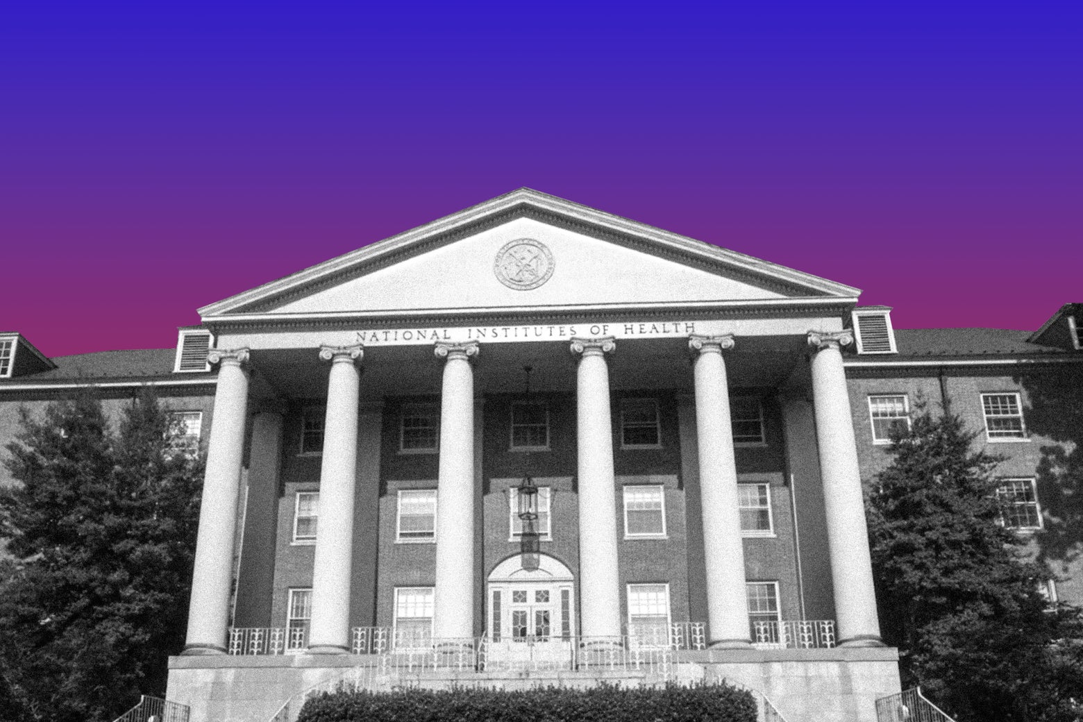 Trump’s War on Scientific Research