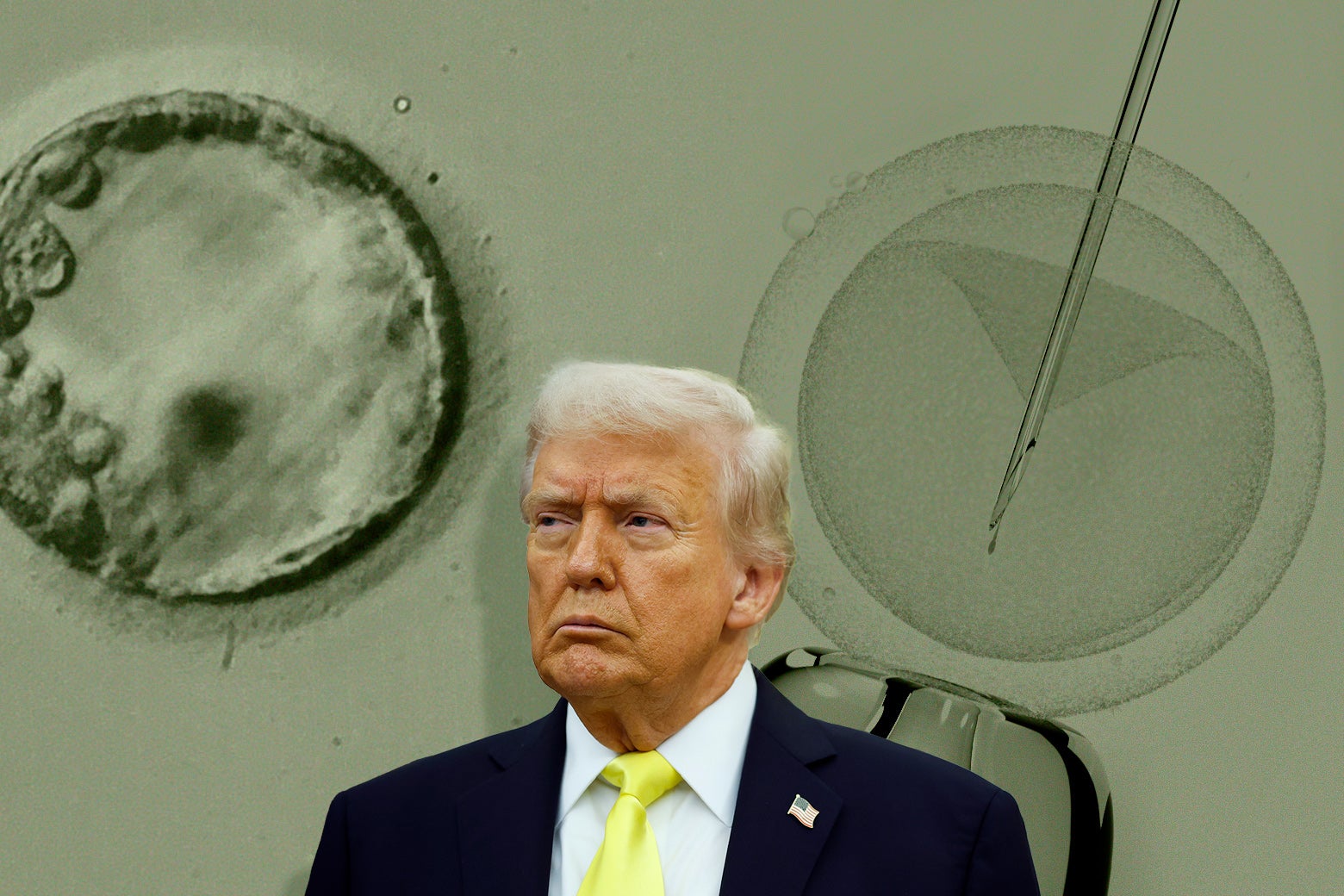 Trump Announces IVF Cost Reduction Plans Without Mandates
