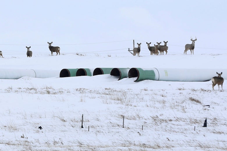The Keystone XL Oil Pipeline Is Dead The Keystone XL Oil Pipeline Is Dead