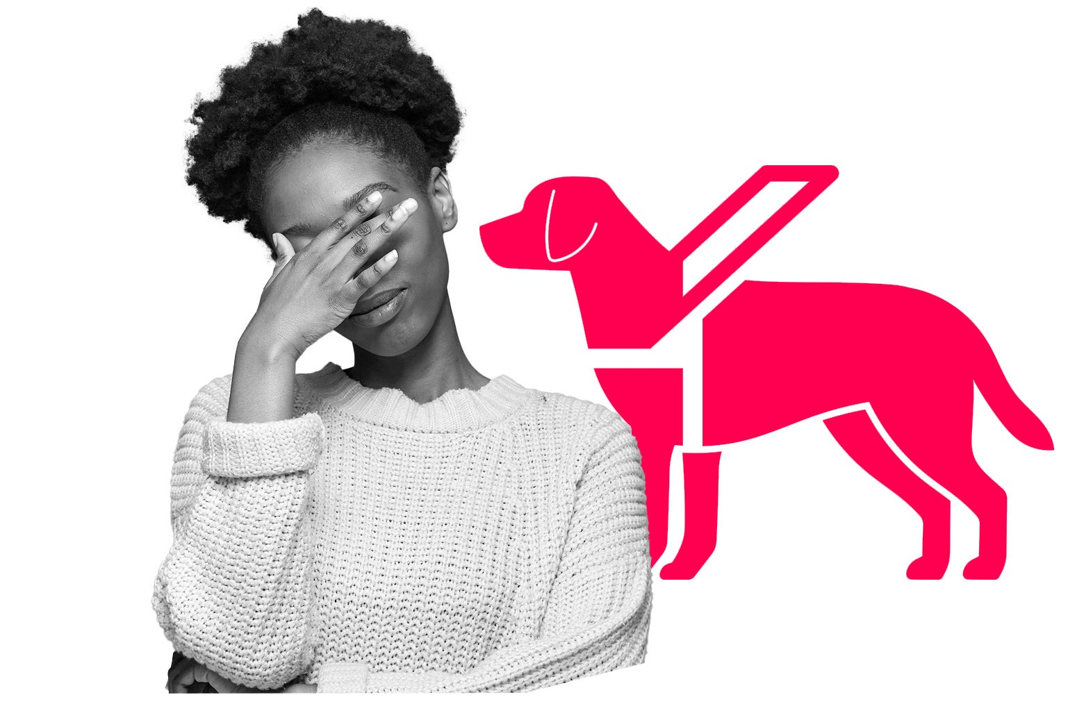 Dear Prudence My Mother Is Lying About Her service Animal dear-prudence-my-mother-is-lying-about-her-service-animal