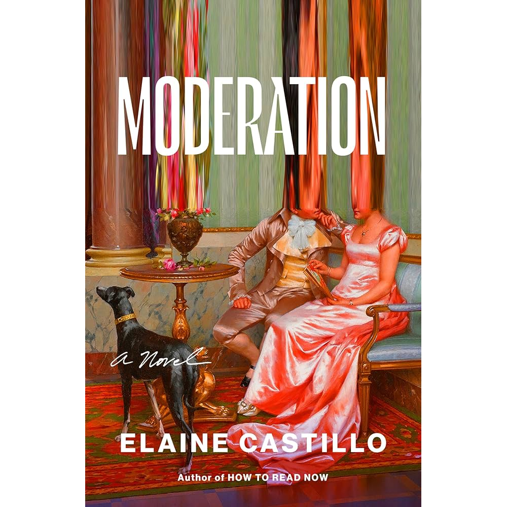 Book cover of Moderation by Elaine Castillo.