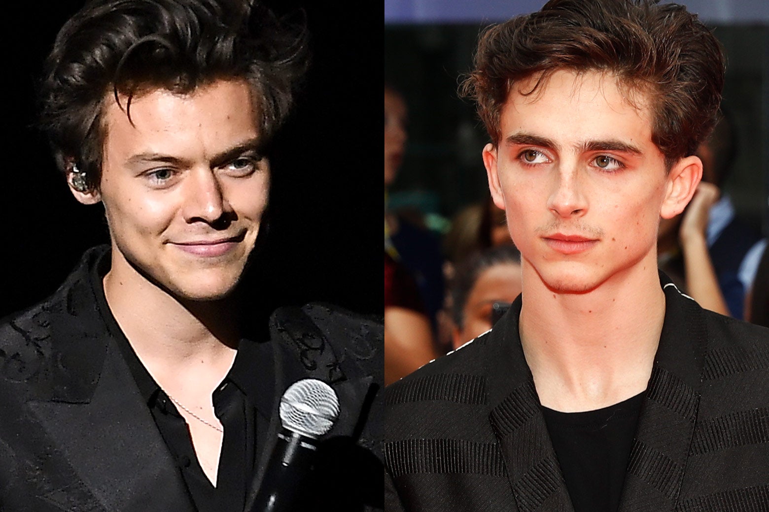 Harry Styles And Timothée Chalamet’s Interview And Why The Internet ...