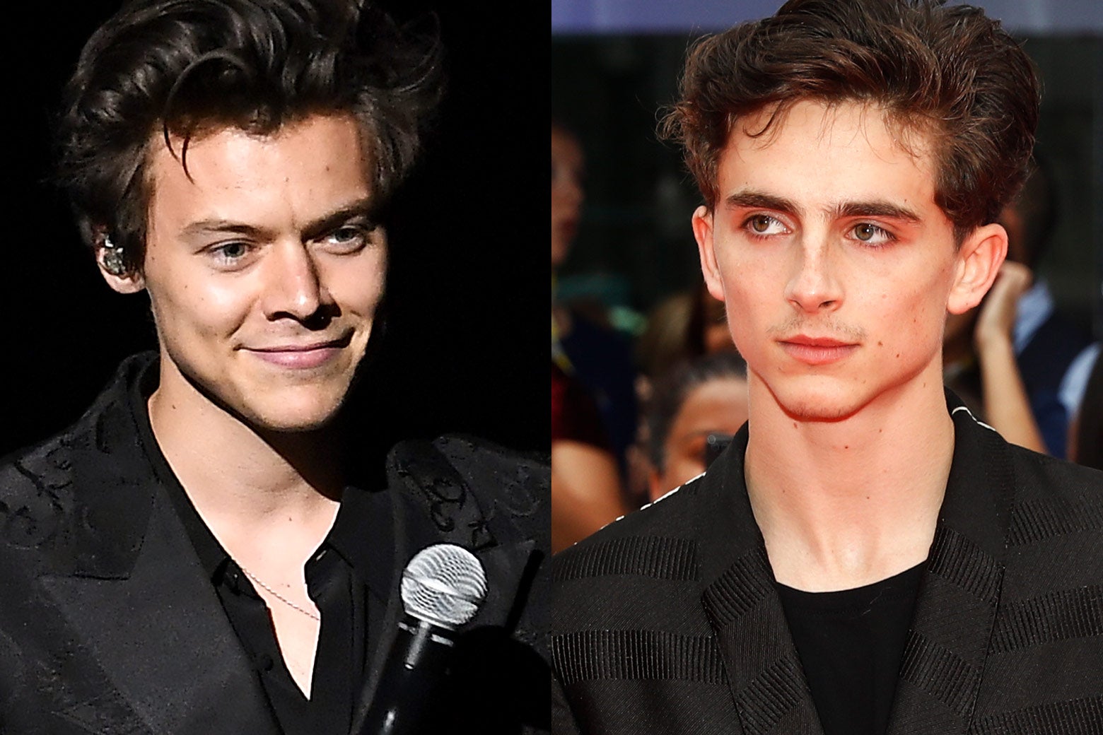 Harry Styles and Timothée Chalamet.