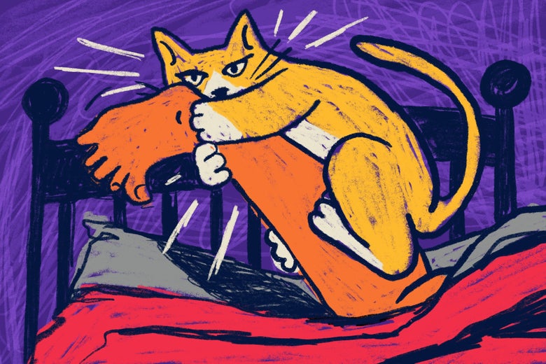 Illustration of a cat clawing a foot while staring directly into the camera.