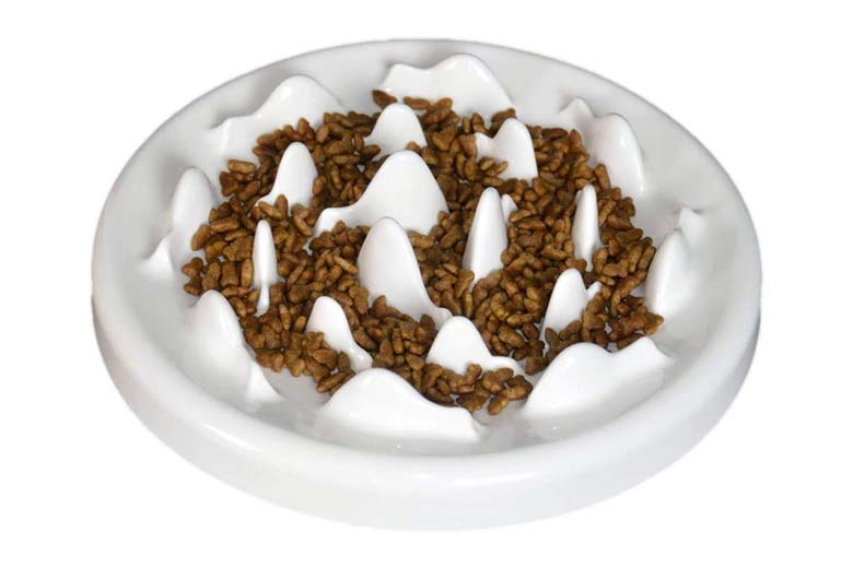 Lorde Slow Feeder Cat Bowl