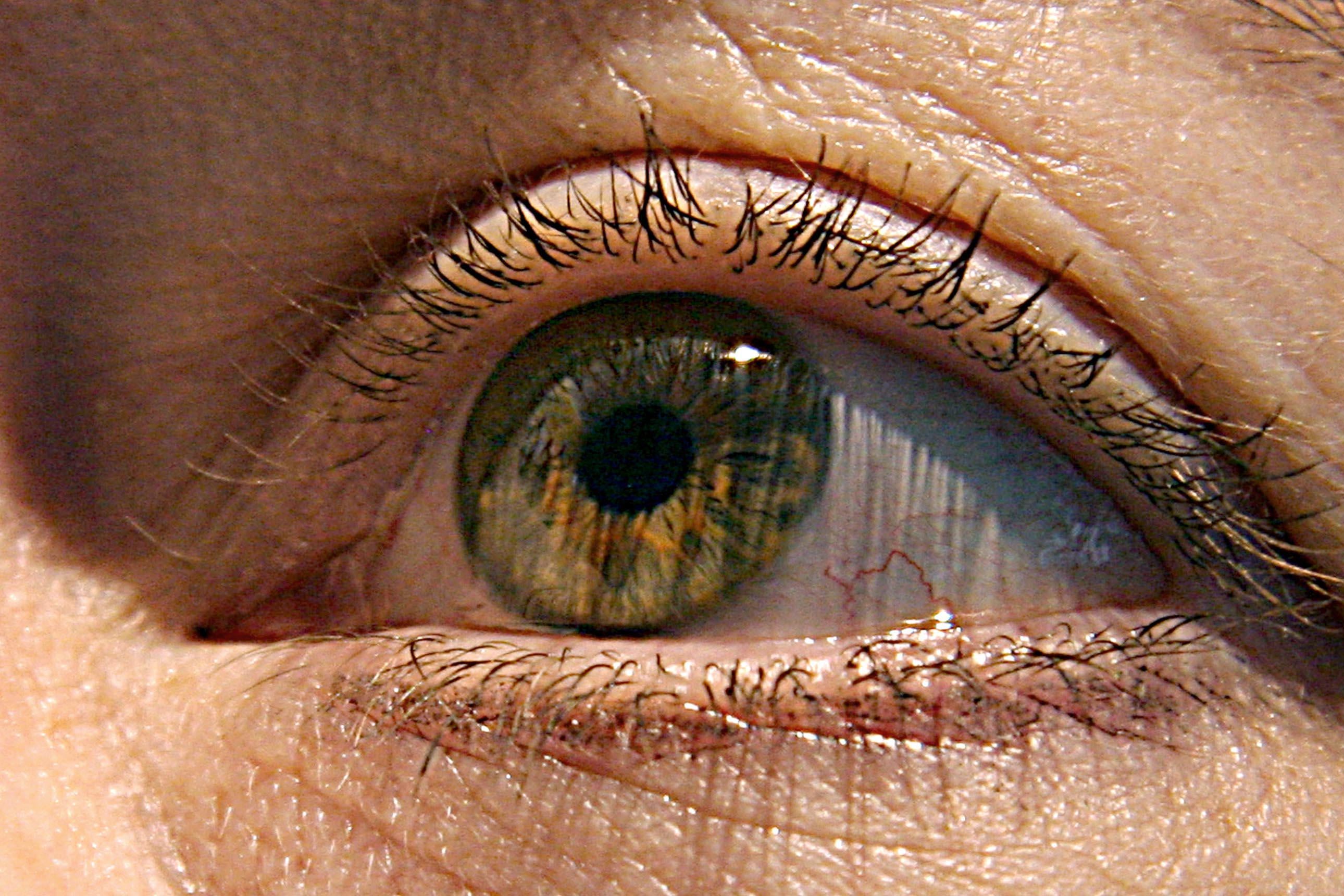 A close photo of a green eyeball with eyelids wide open.