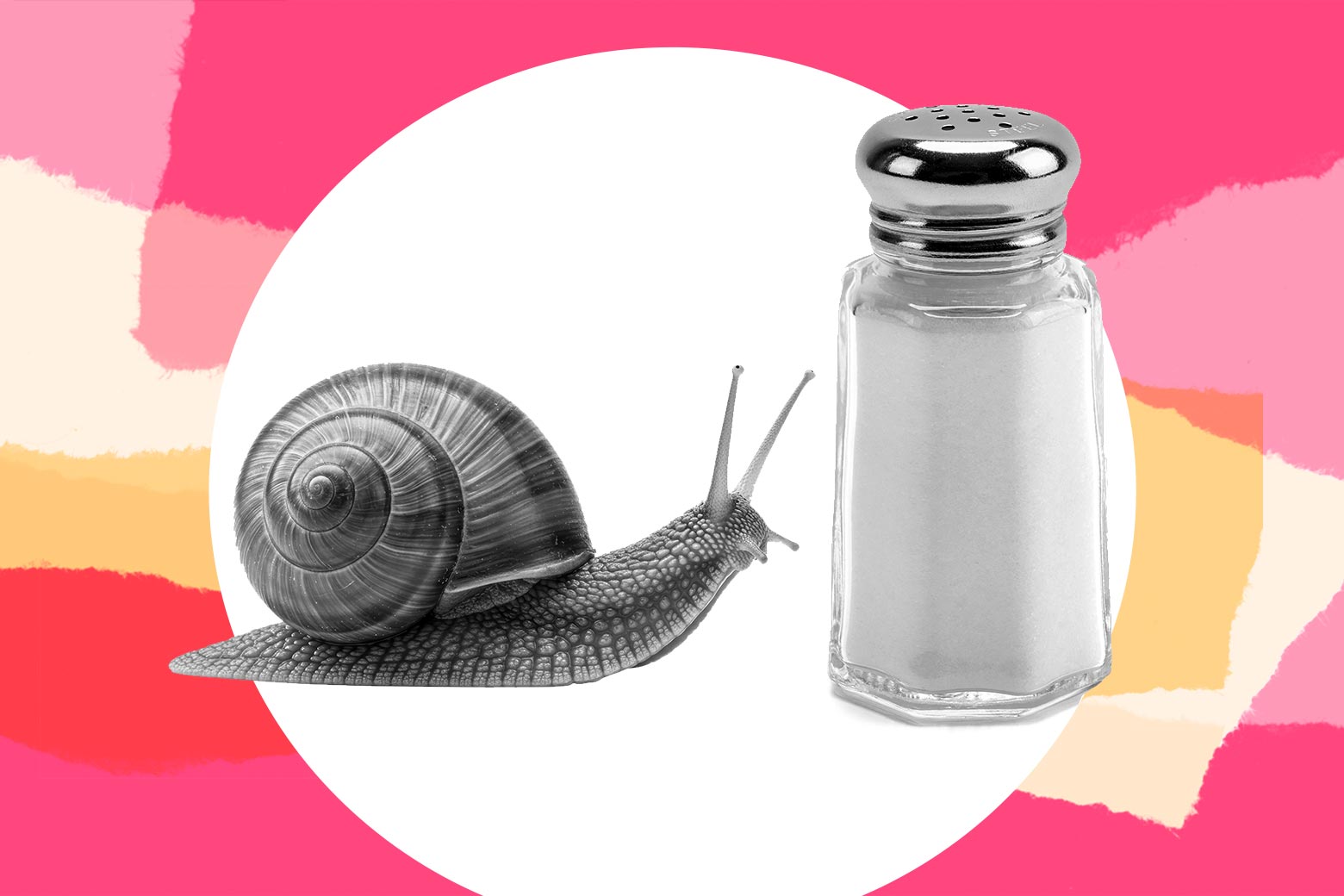 My Husband Is Turning a Common Spring Annoyance Into a Lesson in Brutality for Our Kids