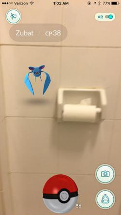 Spotted: Zubat in the bathroom.