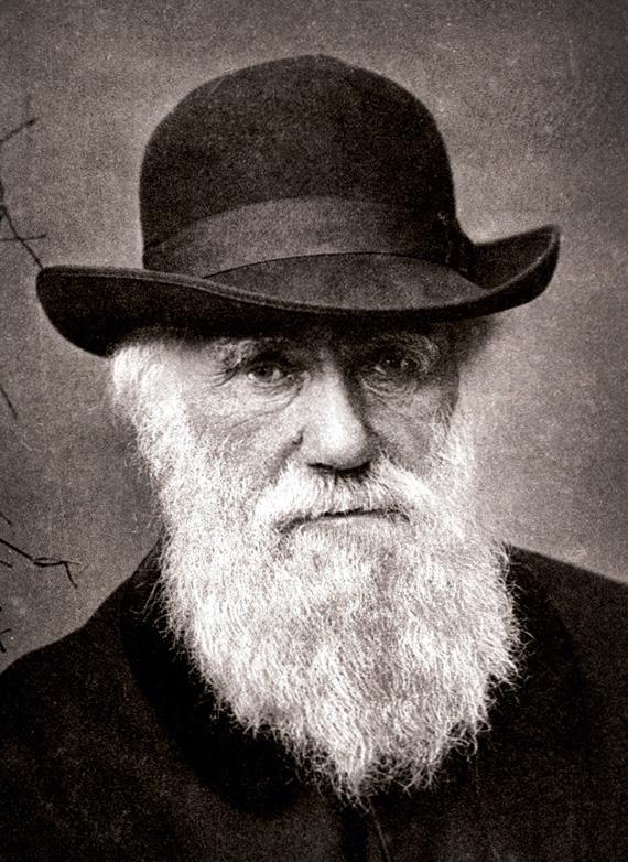Charles Darwin in 1881.