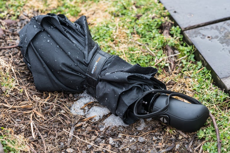 Black umbrella on the grass