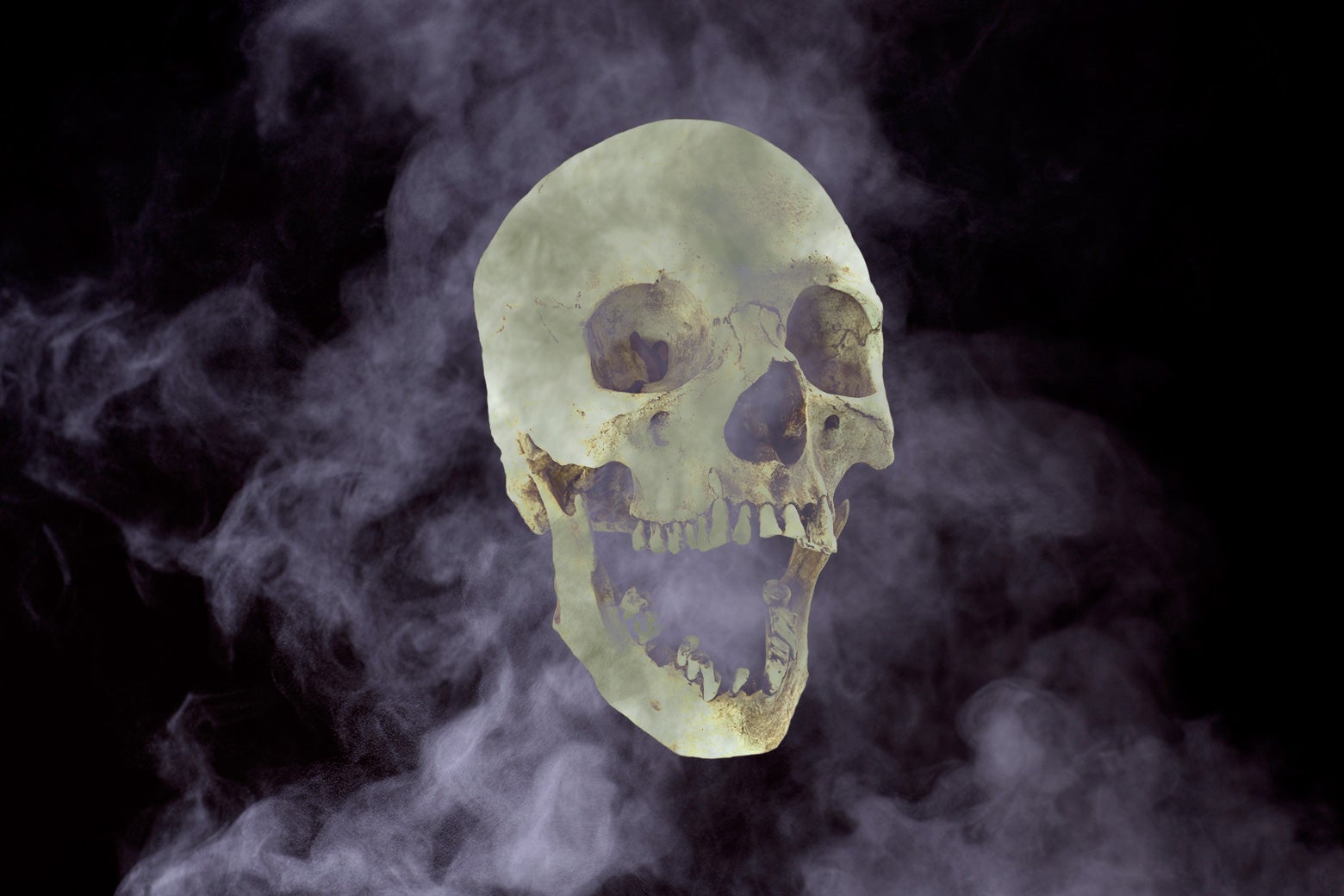 A human skull and smoke. 