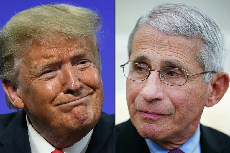Fauci Blasts Trump Claim COVID-19 Death Toll “Exaggerated”: “The Deaths Are Real” Fauci Blasts Trump Claim COVID-19 Death Toll “Exaggerated”: “The Deaths Are Real”