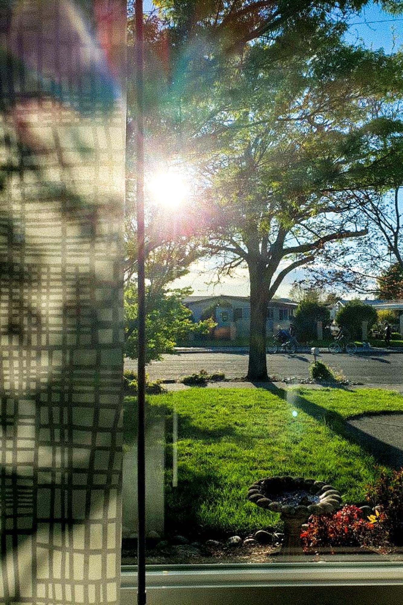 Bright sunshine over a lawn into a home window.