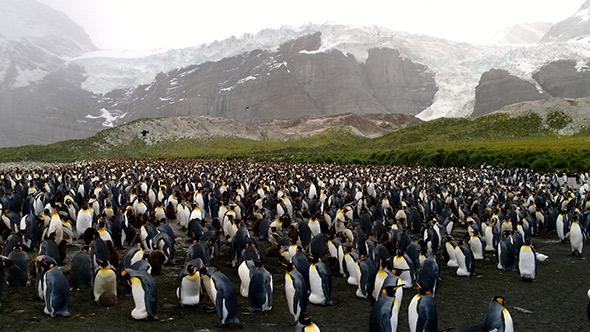 Ernest Shackleton’s Famous Voyage Across Antarctica: The 100th 