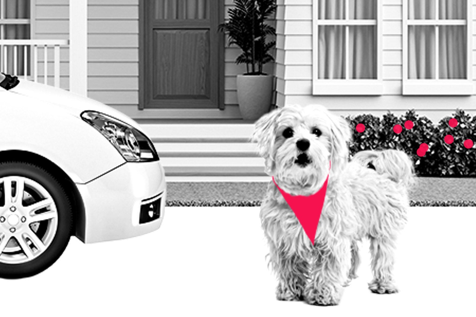 My Car, House, and Dog Are All the Same Color. My Husband Thinks It Sends the Wrong Message.