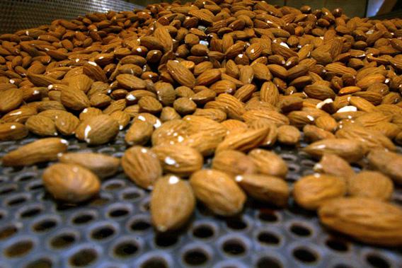 Raw almonds are shown on a roasting tray in June 2007 in Madera, Calif.