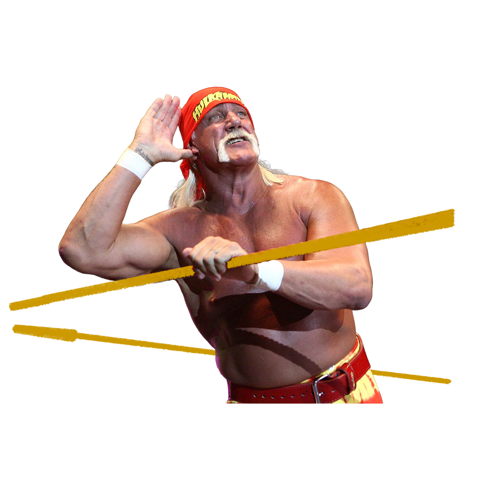Hulk leans on the ring ropes.