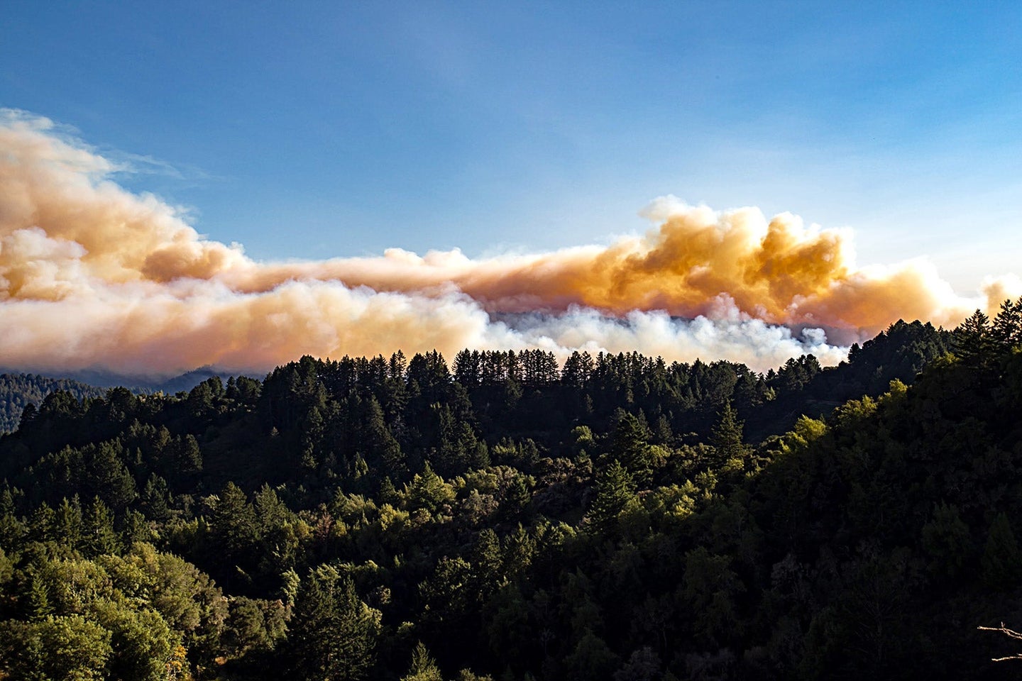 Formerly Incarcerated Firefighters Are Still Fighting California’s Wildfires