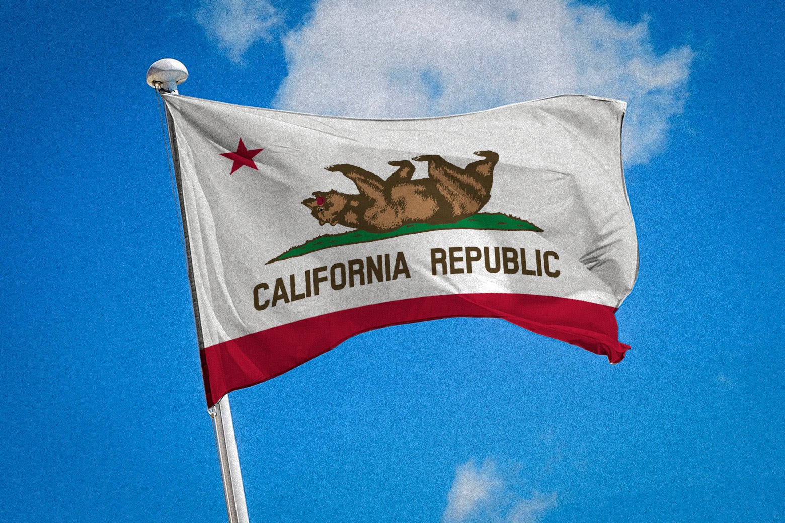 Flag of California with the bear upside down.
