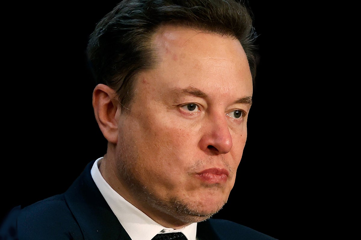 Elon Musk sues advertising group over pulling ads from X.