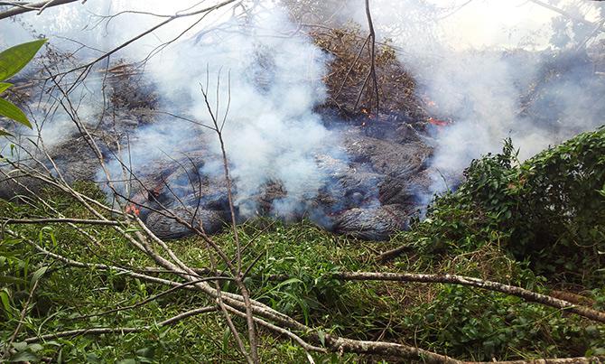 As it advances, the lava crackles and pops as it burns vegetation.