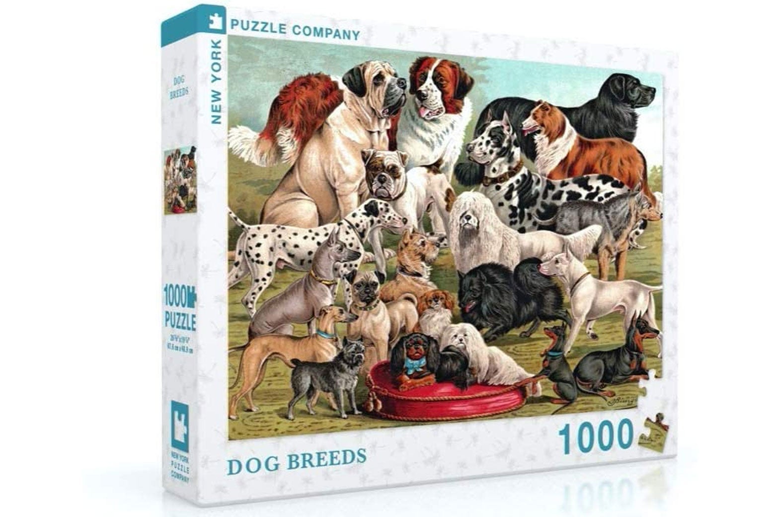 Vintage Images Dog Breeds