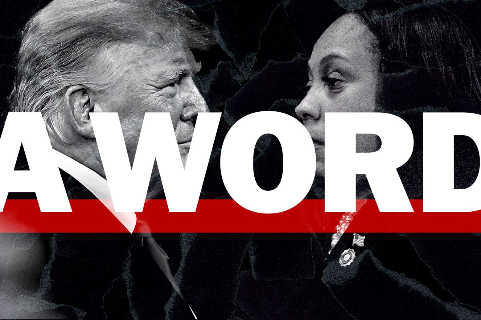 &ldquo;Rigger,&rdquo; Please: Donald Trump, Fani Willis, and Georgia&rsquo;s Voting Rights Fight