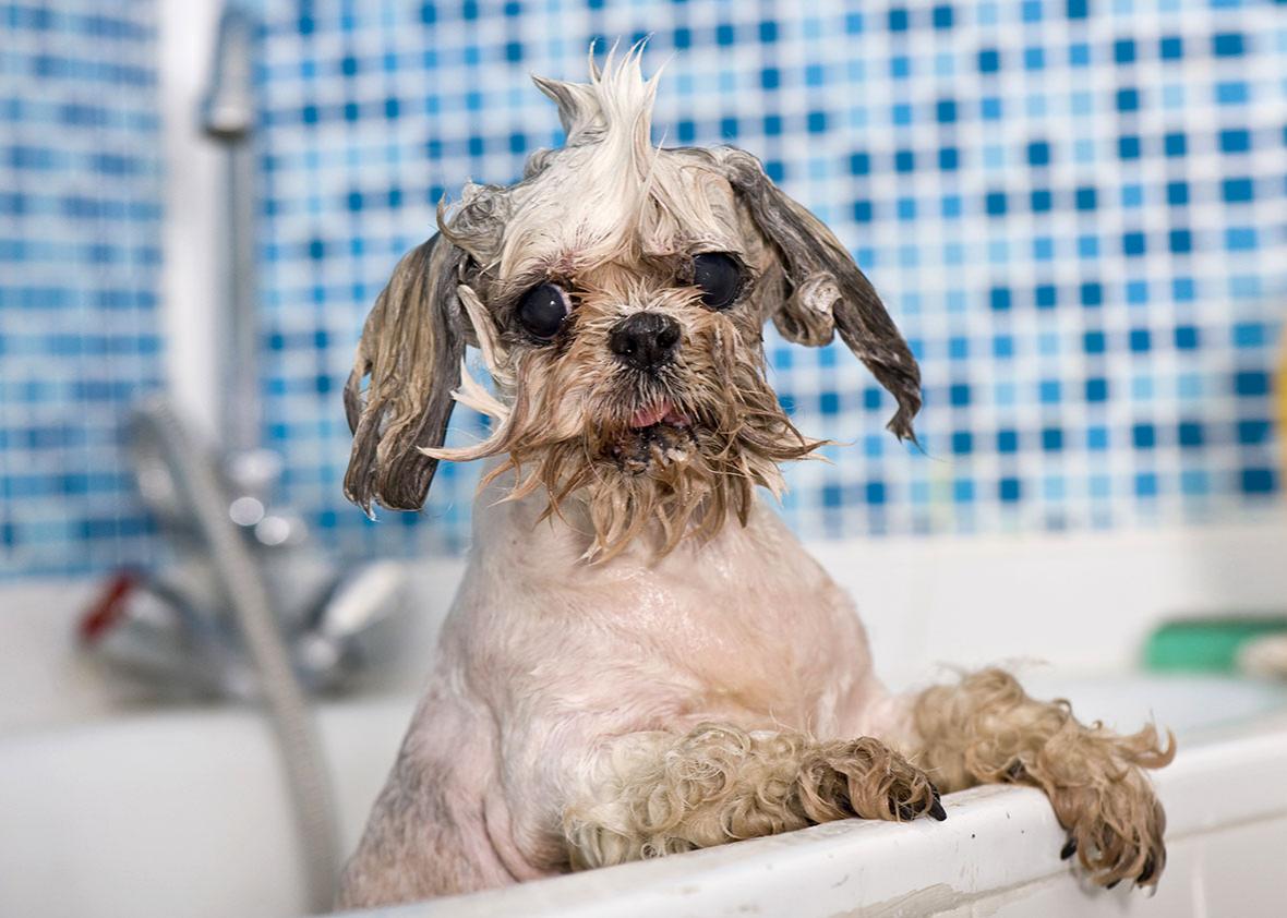 Baths are better than showers A manifesto.