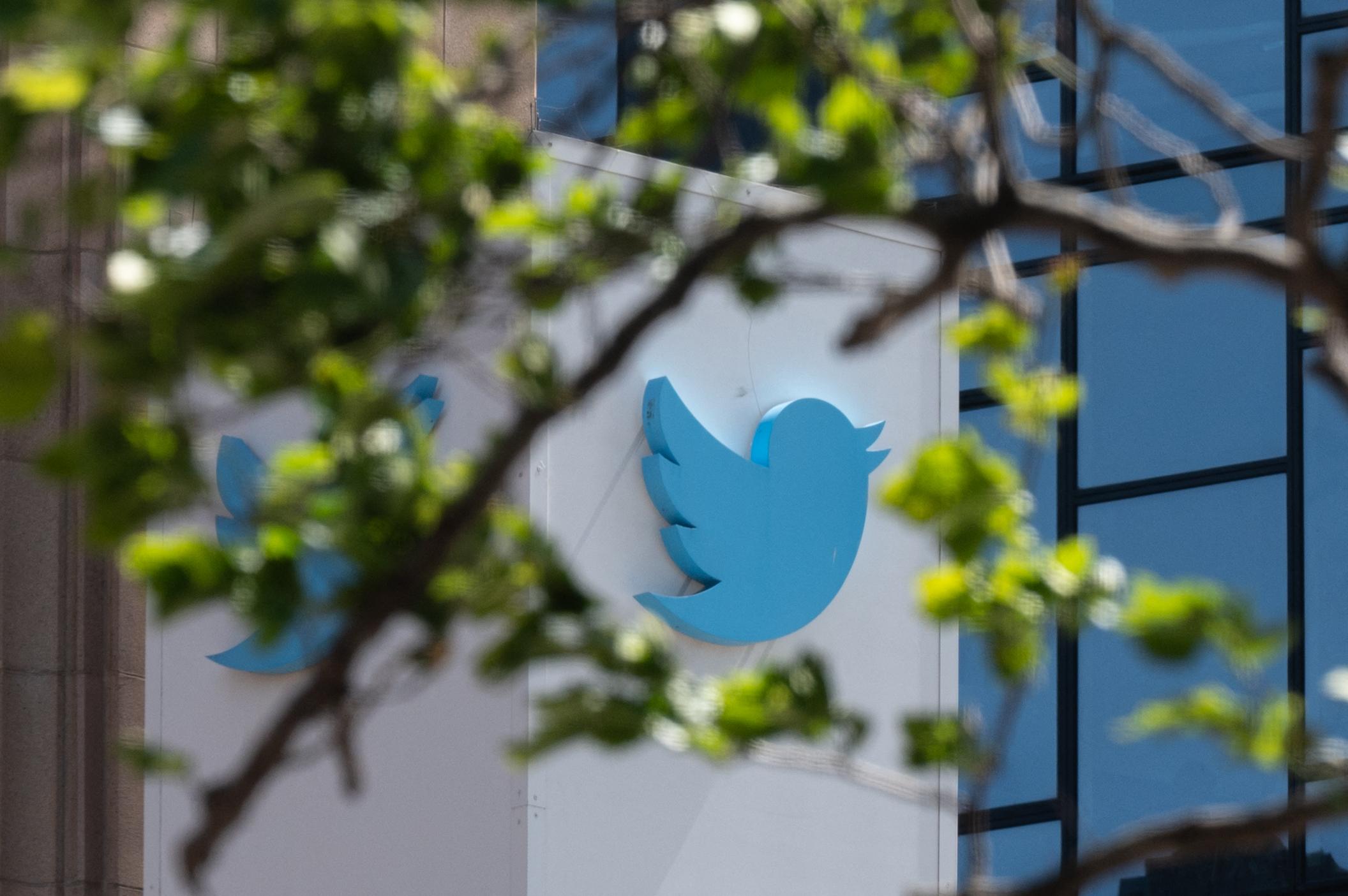 The Twitter logo is seen through some tree branches.