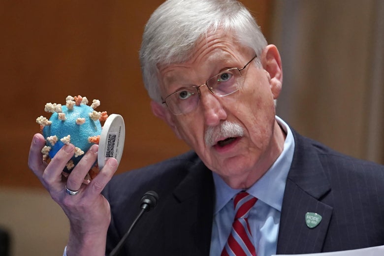 National Institutes of Health Director Dr. Francis Collins holds up a model of the coronavirus as he testifies on Capitol Hill, May 26, 2021 in Washington, D.C.