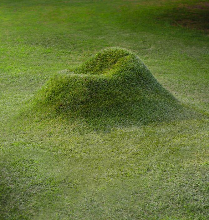 chair grass